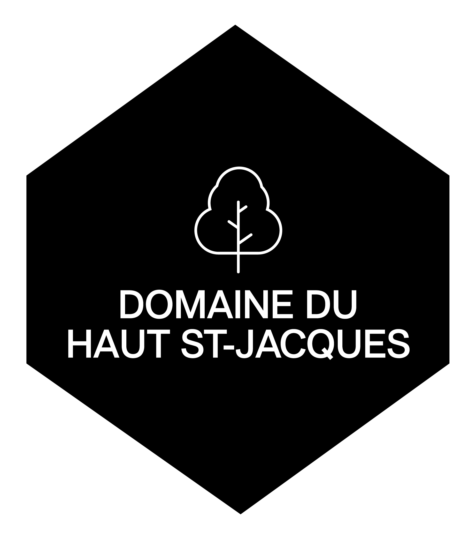 logo-domaine-st-jacques 1