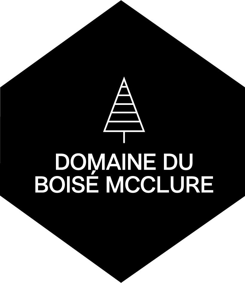 logo-mcclure 12