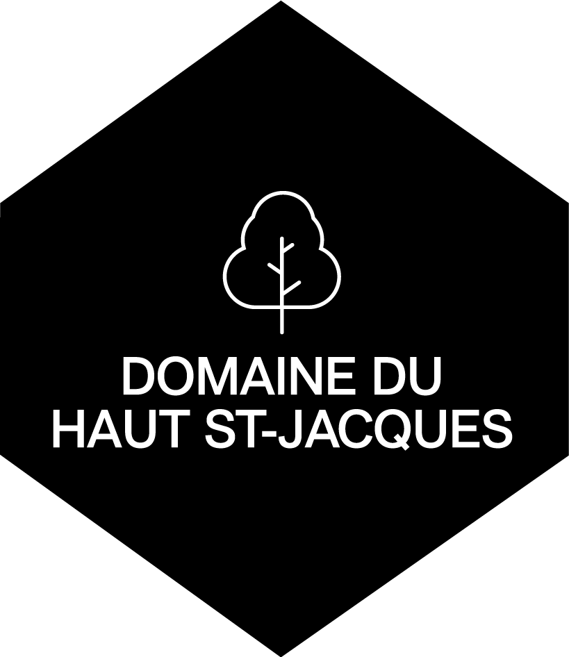 logo-st-jacques 14