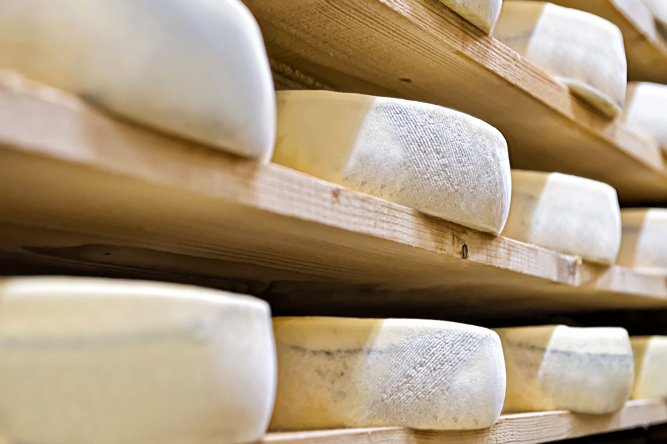 fromagerie des cantons attrait 4 7